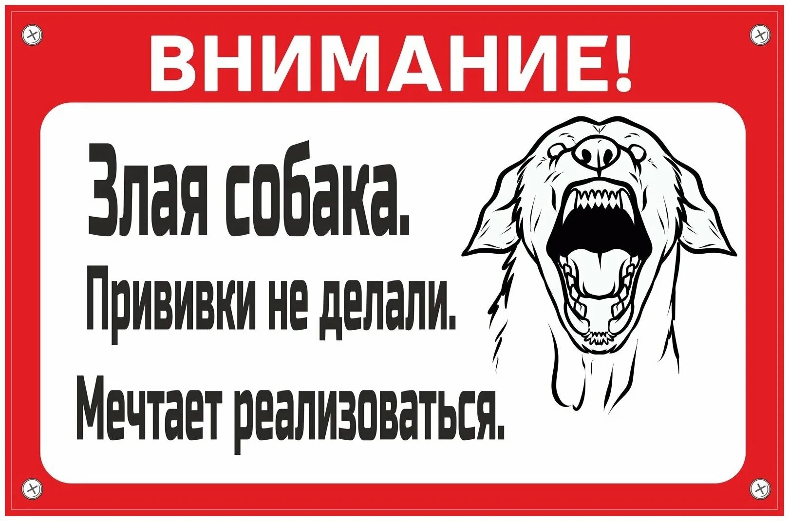 О чем мечтает собака. Табличка "злая собака". Табличка осторожно злая собака. Табличка злая собака прикольная. Табличка на забор злая собака.