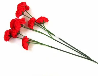 Гвоздики 2 штуки
