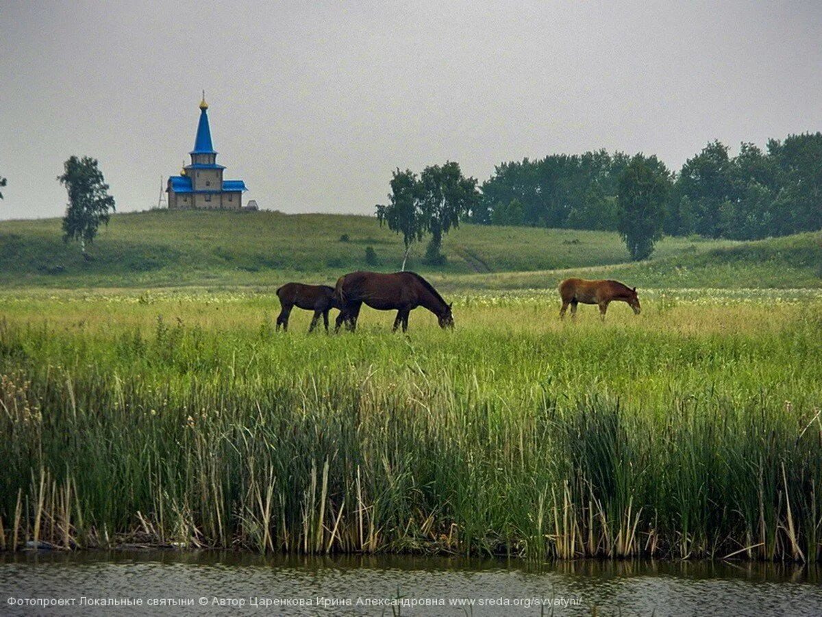 Русь и степь
