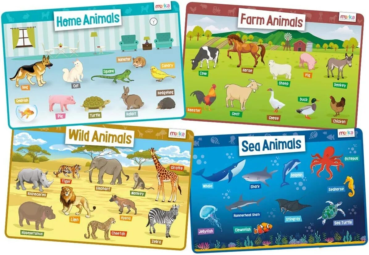 Kids box wild animals