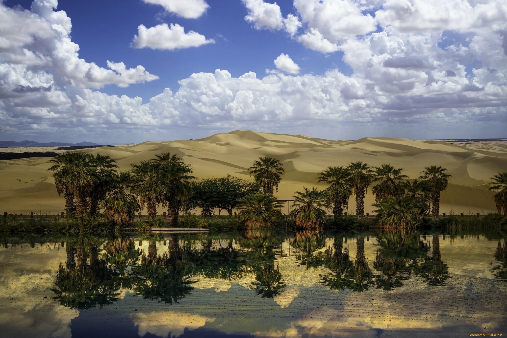 Покажи оазис. Оазис Убари. Оазис в пустыне Африки. Оазис в Калмыкии. Красивый Оазис в пустыне.