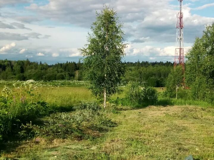 деревня гряды московская область. волоколамский район чисмена ул гряды. деревня гряды волоколамский район. деревня гряды московская область. деревня гряды московская область.