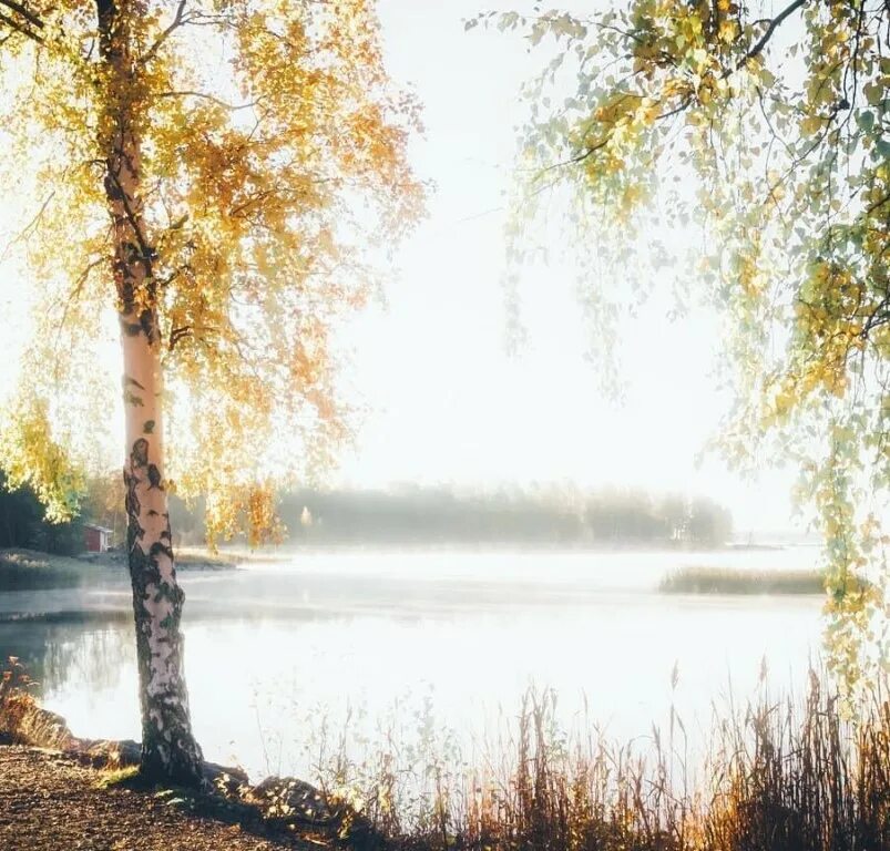 Октябрьское утро картинки. Октябрьское утро. Красивое Октябрьское утро. Октябрьское утро природа. Раннее Октябрьское утро....