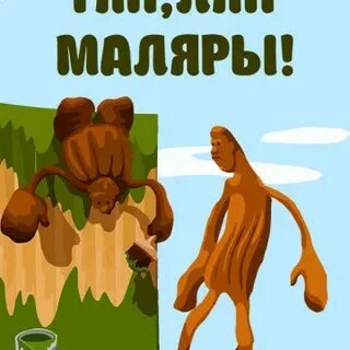 Наши чувства тяп ляп