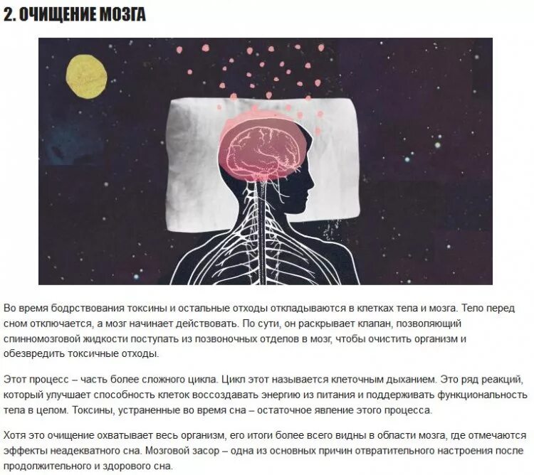 Отключается ли мозг во время сна
