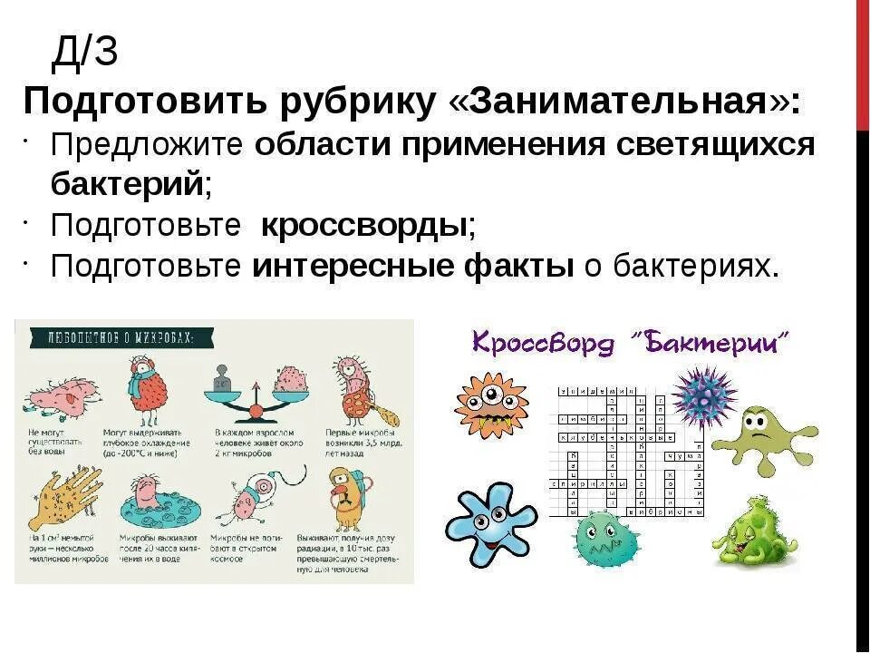 Информация о микробах 5 класс. Информация о микробах 5 класс