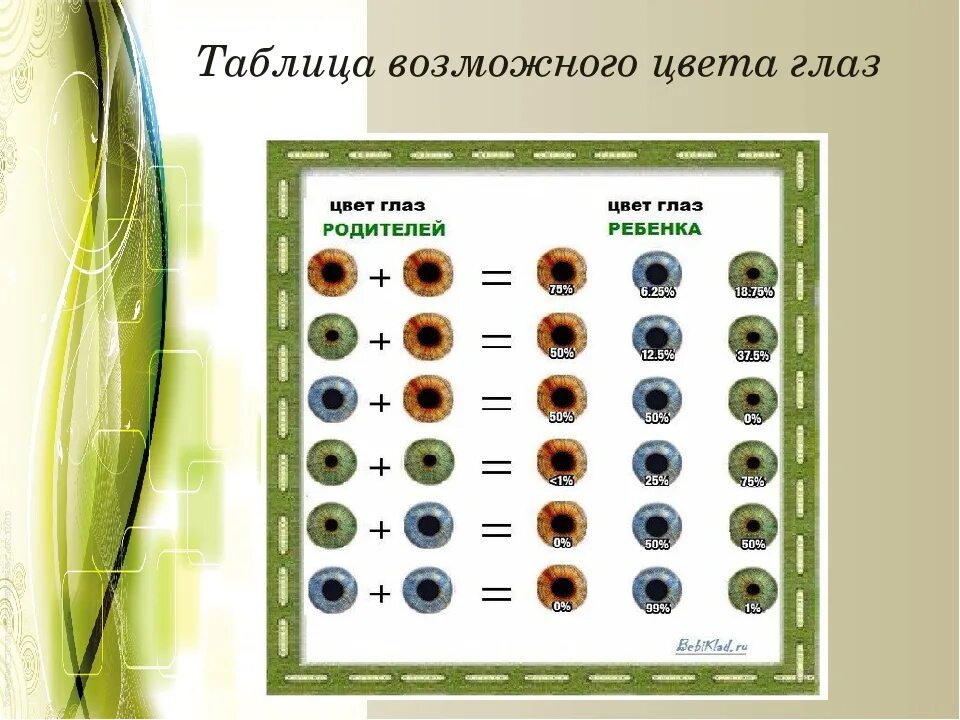 Какие глаза будут у кареглазых родителях. Цвет глаз таблица. Таблица цвета глаз у ребенка. Цвет глаз генетика. Вероятность цвета глаз.