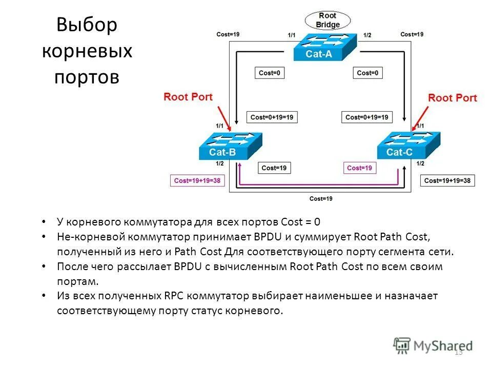 Протокол корнева