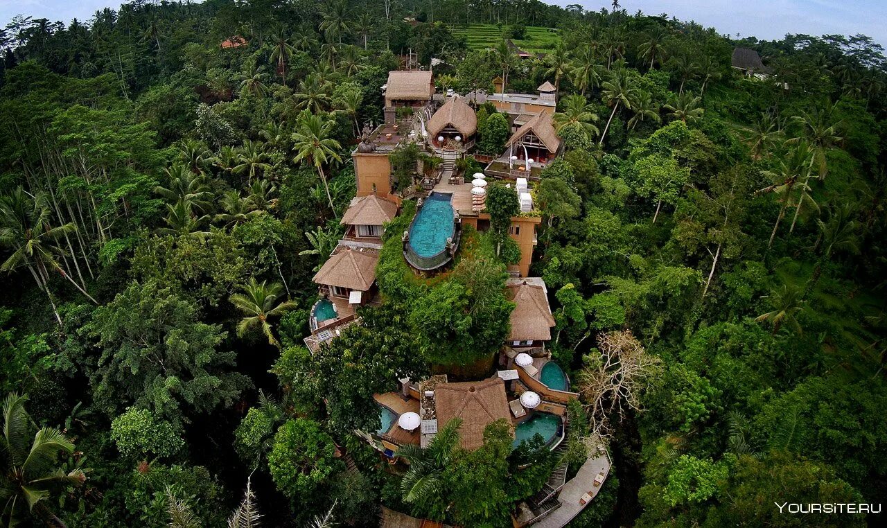 Убуд отели. Убуд отели. Убуд отели. Бали убуд отели в джунглях. Ubud бали.