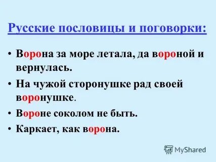 Ворона пословицы и поговорки