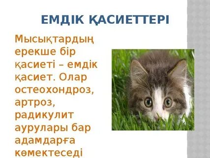 Footfollowers секс порно