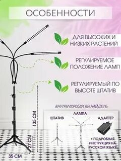 Таймер для рассады