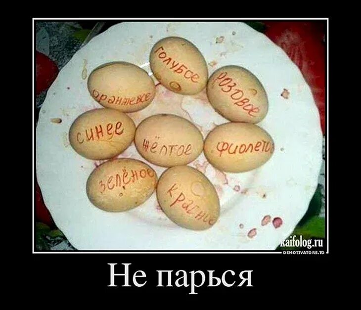 Забавные пасхальные яйца. Фото крашеных яиц прикол. Яйца на пасху смешные. Надписи на пасхальных яйцах. Веселые яйца на пасху.