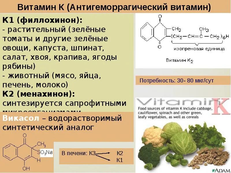 Функции витамина к1 филлохинон. Витамин к филлохинон продукты. Витамин к филлохинон недостаток в организме. Витамин к филлохинон содержится. Витамин k продукты