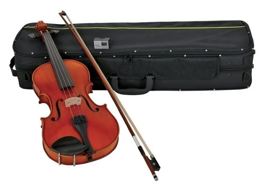 Gewa Cello Maestro 6. Gewa Allegro-vl2 4/4. Скрипка Fabio SF-36015e (3/4). Gewa Maestro 6 скрипка 3/4. Купить скрипку в москве