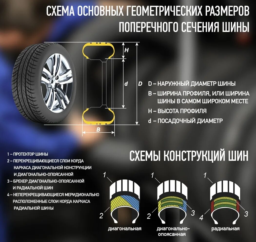Конструкция шины. Шина в разрезе. Поперечный разрез шины. Полнопрофильные шины. 8 шин текст
