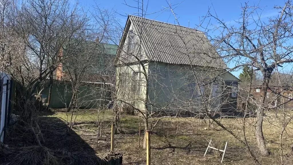 Снт полет 1. Дача фото. земля на даче. снт полет. снт полет ситенка.