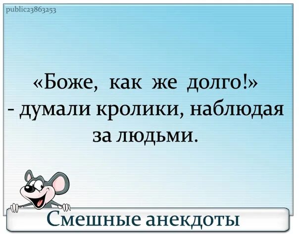 Почему медленно говорю. Боже как долго думала. Думай и кролик. Кролики глядя на людей думают Боже, как долго. О чем думают кролики.