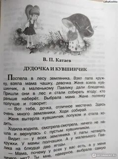 Дудочка и кувшинчик катаев читательский дневник 1