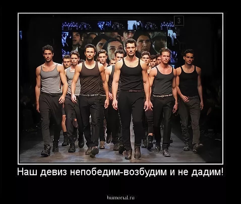 Наш девиз непобедим. Наш девиз непобедим возбудим и не дадим. nash deviz ne pobedim vozbudim i ne dadim. возбудим но не дадим девиз.