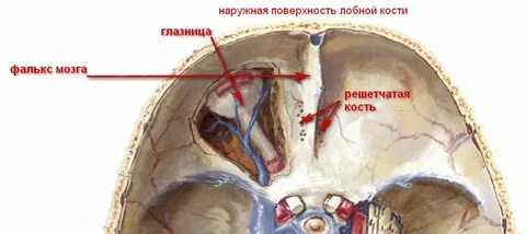 Переднее отверстие