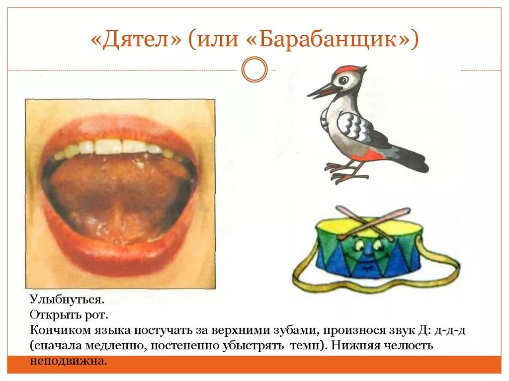 Звук д язык. Упражнение барабанщик артикуляционная гимнастика. Артикуляционная гимнастика для звука р барабан. Артикуляционное упражнение дятел и барабанщик. Упражнение дятел артикуляционная гимнастика.