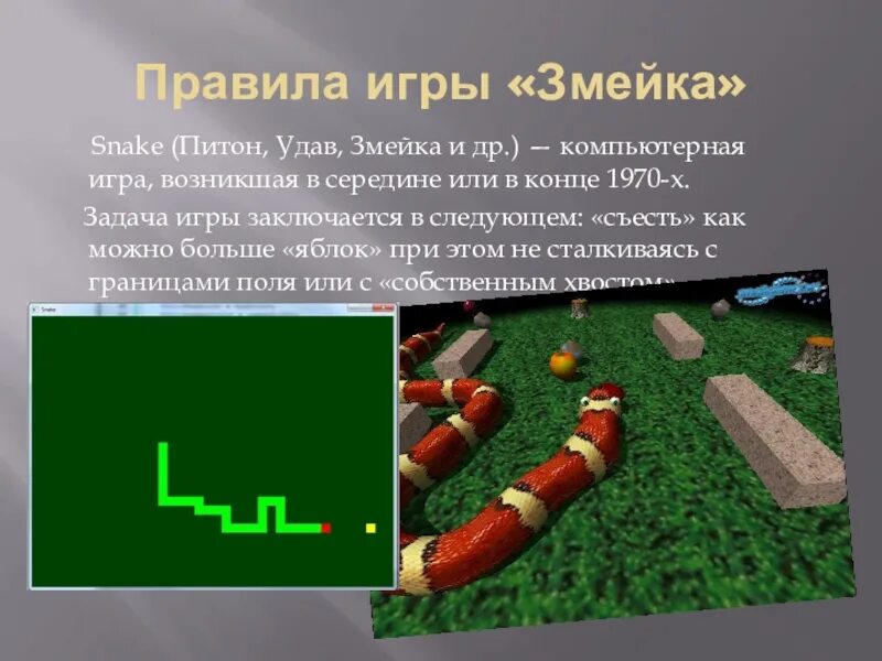 Суть игры змейка