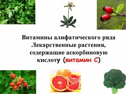 Витамин д больше всего содержится в растениях