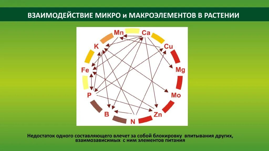 Составляющие взаимозависимы и взаимосвязаны