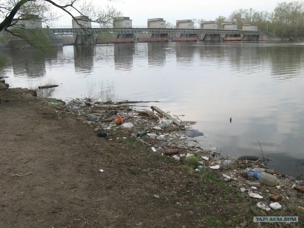 Загрязнение рек россии. Загрязнённая Москва река. Москва река грязная вода. Загрязнение реки Москва-река. Загрязнение Москвы реки.