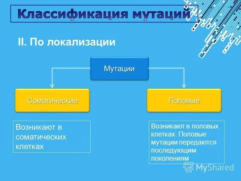 В половых клетках любого организма. Соматические и половые мутации. Мутации в половых клетках. Виды соматических мутаций. Мутации в соматических клетках.