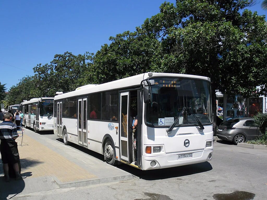 Автобусы Сочи. Городской транспорт Сочи. Городские автобусы в Сочи. Сочинский автобус.