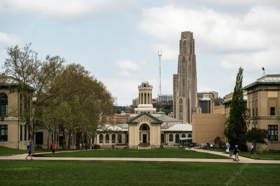 Carnegie university