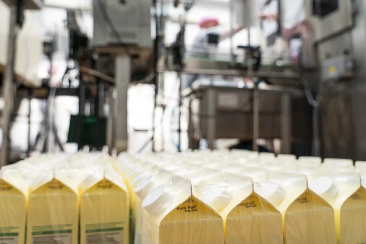 Молоко занявшее первое место. Пищевые заводы Дагестана. Молочная отрасль Минсельхоз. Оборудование для маркировки молочной продукции. Дегустация молочная продукция.