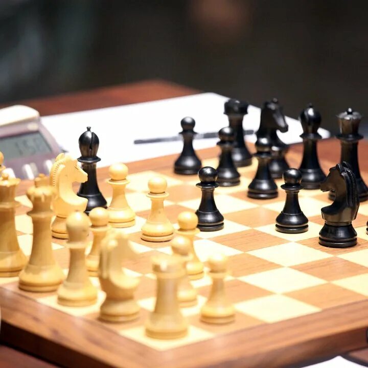 Мир chess. Шахматы эпл. темперамент шахматиста. пешка магазин. world chess tournament.