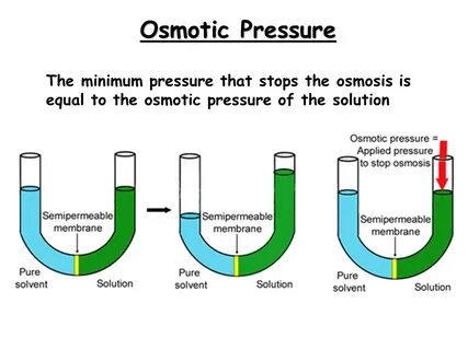 Eyefestation pressure