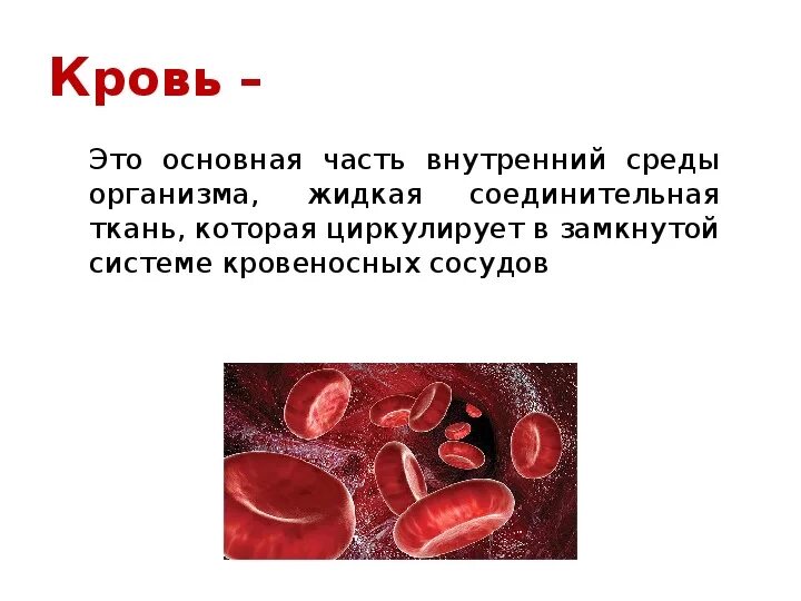 Кровь это жизнь без нее. Внутренняя среда организма кровь презентация 8 класс. Презентация биология 8 класс внутренняя среда организма. Кровь. Внутренняя среда организма кровь 8 класс. Биология 8 класс тема:внутренняя среда организма.