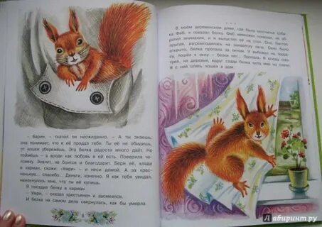Сказка про белочку