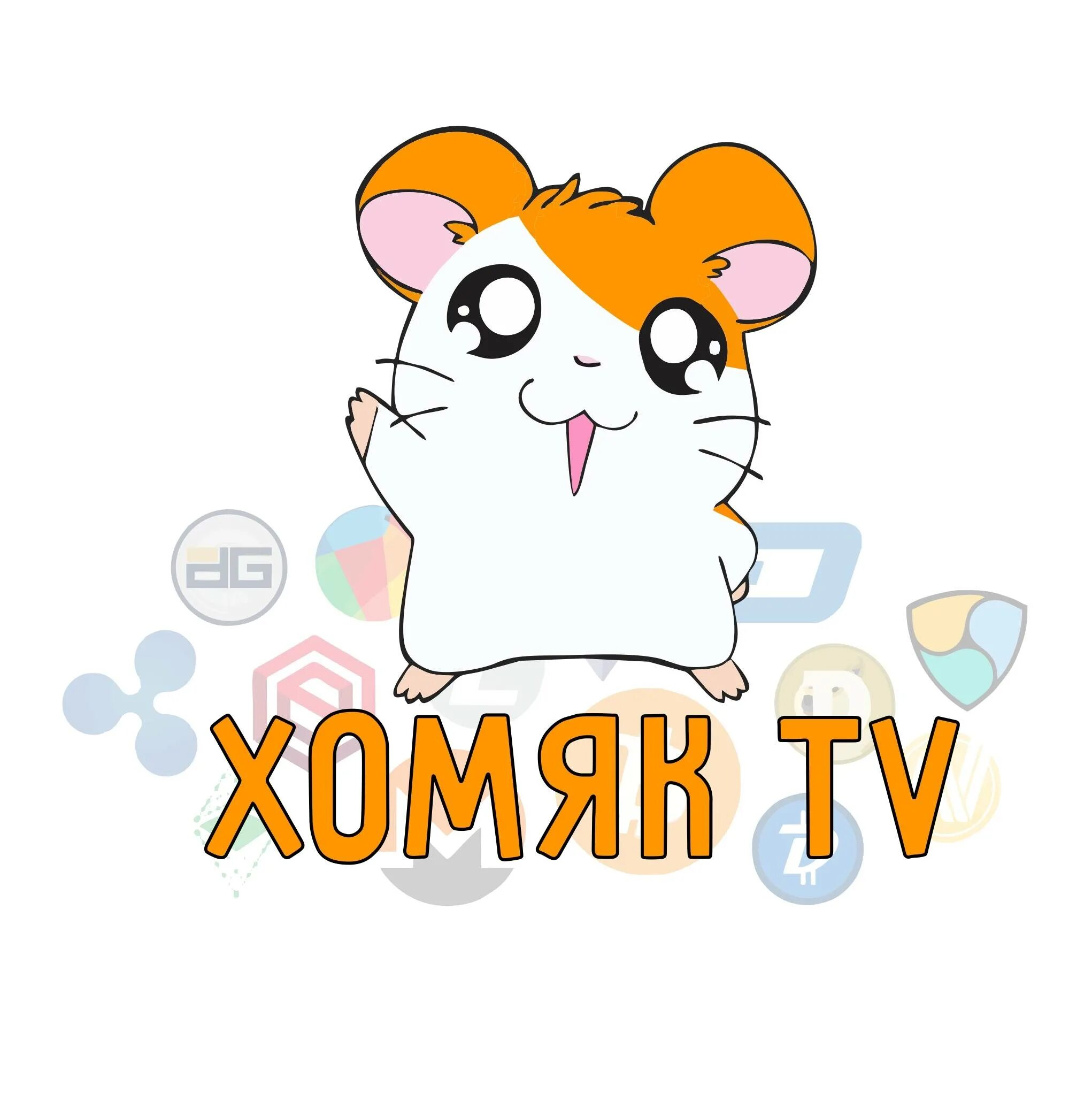 Хомяк тв хомяк тв. Видео хомяк тв. Хомяк тв ютуб. Хомяк тв сиреноголовый. Хомяк тв сиреноголовый.