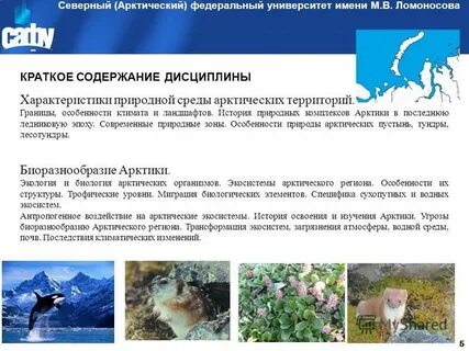 Трансформация экосистем