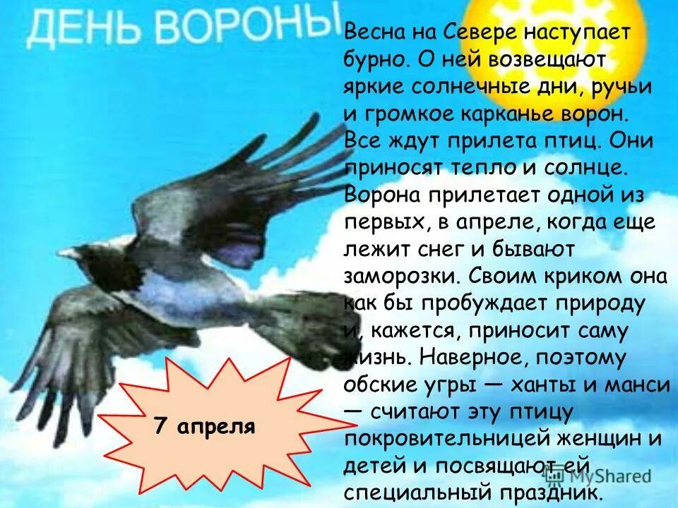 5 апреля какой праздник в россии. Праздник день ворона. День вороны праздник. День вороны 7 апреля.