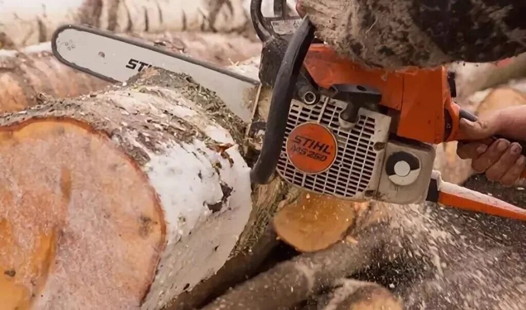 спил деревьев штиль. распил дерева. бензопила дерево. двуручная пила на бревне. распил деревьев бензопилой.