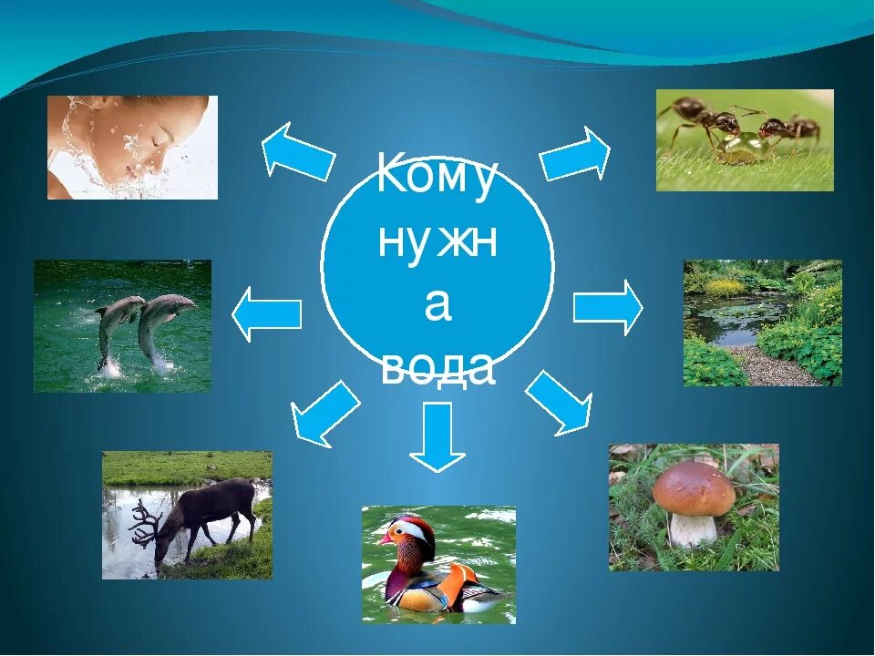 Для каких целей нужна вода. Кому нужна вода. Кому нужна вода картинки. Для чего нужна вода для дошкольников. Кому нужна вода картинки для детей.