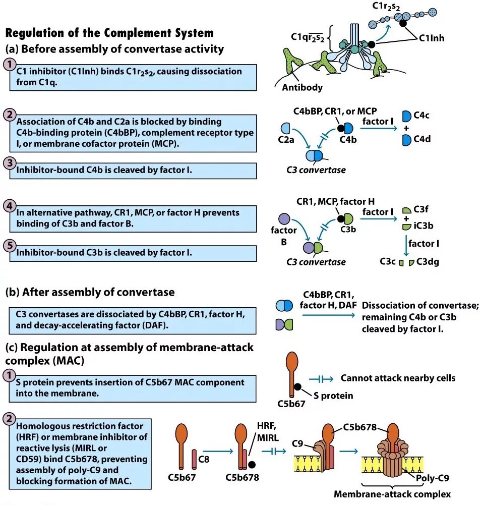 R c system