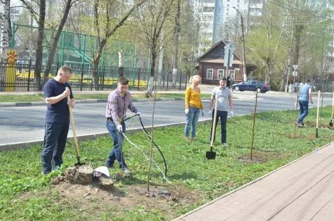 Консультации тверь