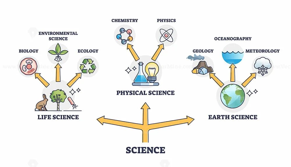 Physical life. Branches of Science. Branches of Science Life Science physical Science Earth Science.