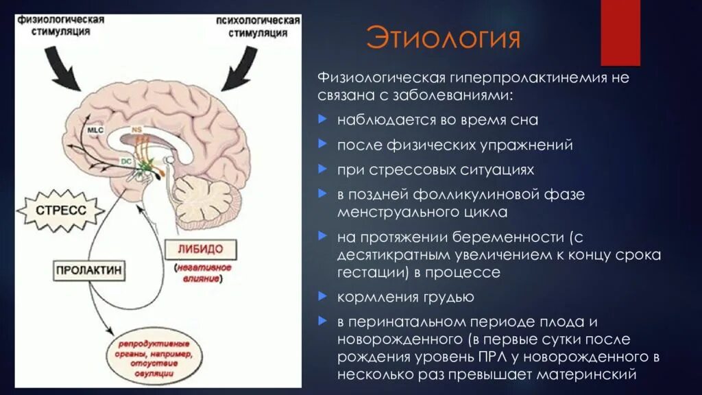 Увеличение пролактина. Физиологическая гиперпролактинемия. Гиперпролактинемия этиология. Функциональная гиперпролактинемия. Патогенез пролактина.