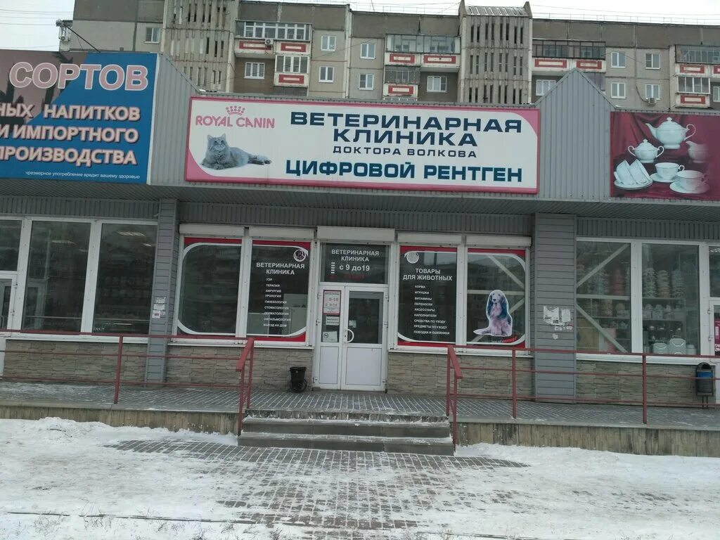 проспект победы 134 липецк. консультация врача ветеринара. ветеринарная клиника на стаханова липецк. ветклиника феникс липецк. ветклиника аврора липецк.