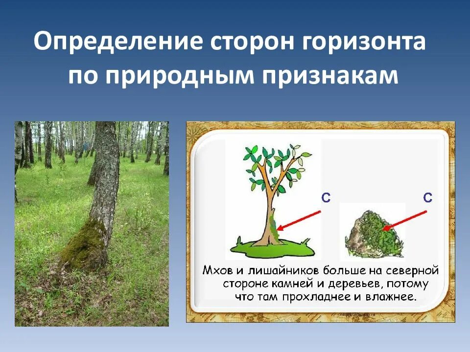 Ориентир по тексту