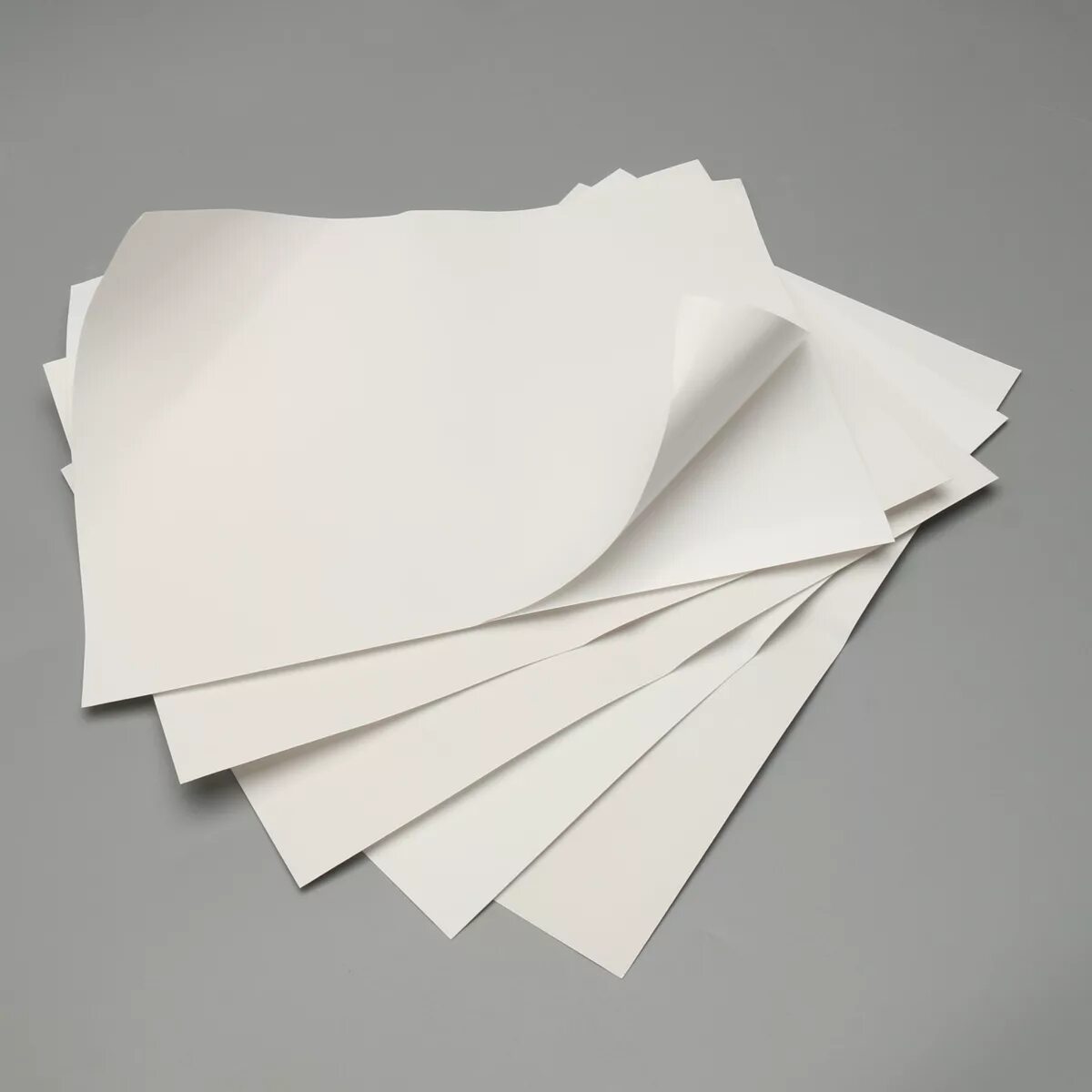 B b paper